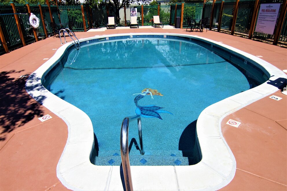 Beautifully refinished pool!